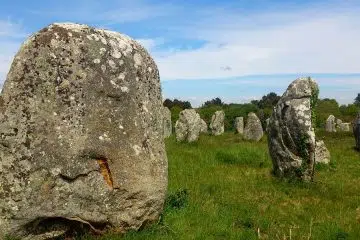 Vivement le départ en camping !